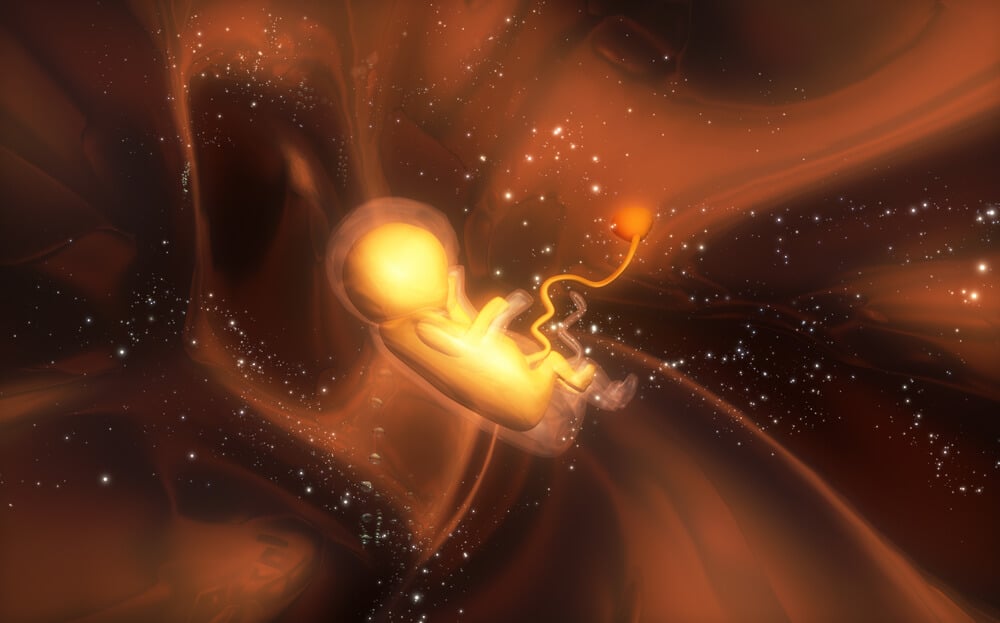 Ultraschalluntersuchungen: Embryo in der Gebärmutter