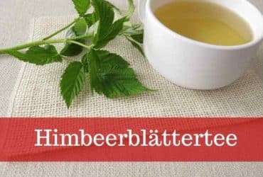 Himbeerblättertee der Alleskönner rund um die Geburt