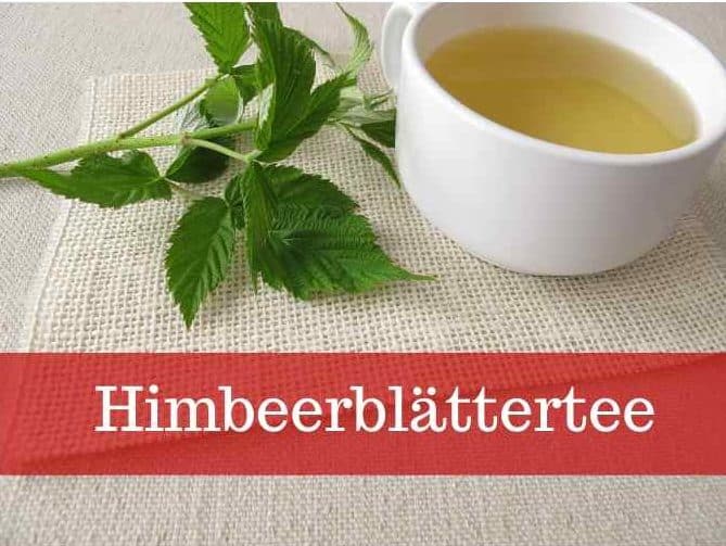 Himbeerblättertee der Alleskönner rund um die Geburt