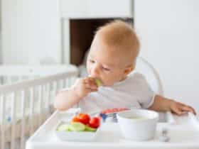 Babynahrung für Babys ab dem 9. Lebensmonat